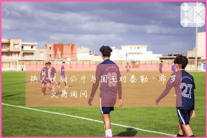 热火收到公牛与国王对泰勒·希罗的交易询问